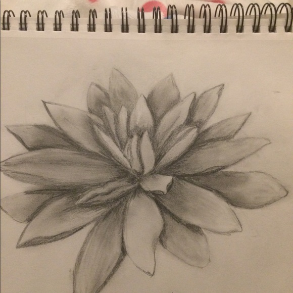 Trades and offers accepted!!! - Picture 1 of 1